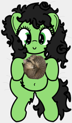 Size: 2080x3508 | Tagged: safe, artist:redcrow32, imported from ponybooru, oc, oc only, oc:filly anon, cat, pony, bed, female, filly, fluffy, foal, irl, irl cat, lying down, lying on bed, on bed, photo, solo, tummy fluff