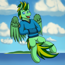 Size: 2000x2000 | Tagged: safe, artist:tacomytaco, imported from derpibooru, oc, oc only, oc:taco.m.tacoson, pegasus, pony, clothes, cloud, flying, hand in pocket, hoodie, looking at you, male, ocean, open mouth, sky, smiling, solo, spread wings, water, wings