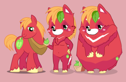 Size: 2490x1617 | Tagged: safe, artist:rockarboom, imported from derpibooru, big macintosh, earth pony, pony, tanooki, apple, food, male, simple background, solo, species swap, stallion