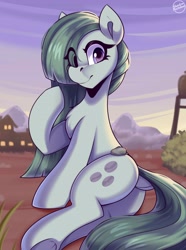 Size: 3500x4700 | Tagged: safe, artist:shadowreindeer, imported from derpibooru, marble pie, earth pony, pony, boulder, boulder (g4), butt, dock, eye clipping through hair, female, mare, plot, rear view, signature, solo, tail