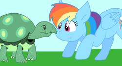 Size: 1080x584 | Tagged: safe, artist:cmara, imported from derpibooru, rainbow dash, tank, pegasus, pony, tortoise, duo, female, male