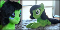 Size: 1264x632 | Tagged: safe, imported from ponybooru, oc, oc:filly anon, female, filly, photo, plushie