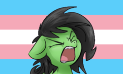Size: 2560x1536 | Tagged: safe, artist:naked drawfag, edit, imported from ponybooru, oc, oc only, oc:filly anon, earth pony, pony, eyes closed, female, filly, foal, open mouth, pride, pride flag, solo, transgender pride flag, yelling