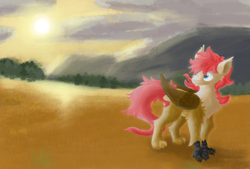 Size: 7736x5240 | Tagged: safe, artist:pzkratzer, imported from derpibooru, oc, oc:ponygriff, hybrid, looking back, male, ponygriff, solo, sunset