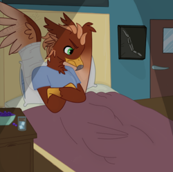 Size: 724x720 | Tagged: safe, artist:emma_rose, imported from derpibooru, oc, oc:pavlos, griffon, bandage, beak, bed, broken bone, broken wing, cast, claws, clothes, colored wings, commission, eared griffon, griffon oc, grumpy, hospital, hospital gown, injured, male, non-pony oc, tail, wings, x-ray picture