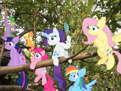 Size: 1032x774 | Tagged: safe, artist:cmara, imported from derpibooru, applejack, fluttershy, pinkie pie, rainbow dash, rarity, spike, twilight sparkle, alicorn, earth pony, pegasus, unicorn, female, horn, irl, male, mane seven, mane six, photo, tree, tree branch, twilight sparkle (alicorn)