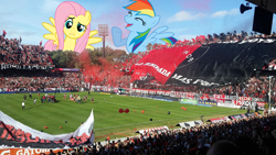 Size: 1200x675 | Tagged: safe, artist:flutterguy317, artist:scrimpeh, editor:jojodidu, imported from ponybooru, fluttershy, rainbow dash, human, pegasus, pony, season 1, sonic rainboom (episode), argentina, balloon, best day ever, emblem, female, flag, football stadium, front view, giant pegasus, giant ponies in real life, giant pony, highrise ponies, irl, irl human, macro, mare, newell's old boys, photo, ponies in real life, rosario, simple background, smiling, spanish text, sports, spread wings, stadium, wings