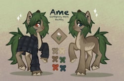 Size: 2266x1488 | Tagged: safe, artist:ametff3, imported from derpibooru, oc, oc only, oc:ame, earth pony, pony, abstract background, alternate design, brown coat, clothes, coat markings, color palette, colored hooves, colored muzzle, colored pinnae, duality, ear piercing, earring, earth pony oc, eye clipping through hair, eyebrows, eyebrows visible through hair, eyelashes, facial markings, female, flannel shirt, freckles, green mane, green tail, heterochromia, jewelry, long tail, looking back, mare, messy mane, messy tail, open clothes, open shirt, pale belly, piercing, profile, raised hoof, reference sheet, shadow, smiling, solo, sparkles, standing, tail, text, two toned mane, two toned tail, unshorn fetlocks