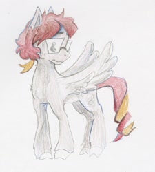 Size: 1530x1703 | Tagged: safe, artist:teochronico, imported from derpibooru, oc, pegasus, pony, pegasus oc, pencil drawing, solo, traditional art, wings