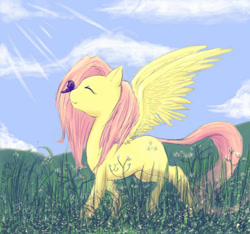 Size: 668x626 | Tagged: safe, artist:valiumangel, imported from derpibooru, fluttershy, butterfly, female, happy, solo