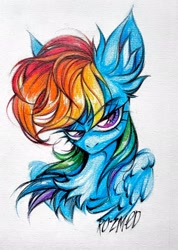 Size: 1458x2048 | Tagged: safe, artist:rozmed, imported from derpibooru, rainbow dash, pegasus, pony, chest fluff, ear fluff, female, mare, simple background, solo, traditional art, white background