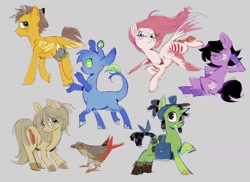 Size: 1980x1440 | Tagged: safe, artist:fryologyyy, imported from derpibooru, oc, oc only, alien, bird, earth pony, pegasus, pony, unicorn, animorphs, bag, dreadlocks, female, gray background, horn, jewelry, male, mare, multiple eyes, necklace, saddle bag, simple background, stallion