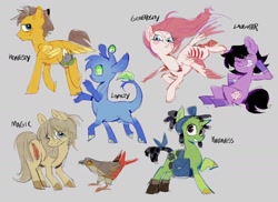 Size: 1980x1440 | Tagged: safe, artist:fryologyyy, imported from derpibooru, oc, oc only, alien, bird, earth pony, pegasus, pony, unicorn, animorphs, bag, dreadlocks, female, gray background, horn, jewelry, male, mare, multiple eyes, necklace, saddle bag, simple background, stallion