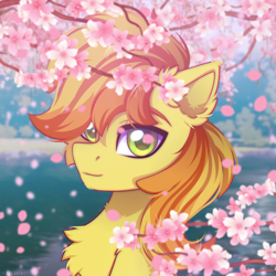 Size: 2500x2500 | Tagged: safe, artist:stesha, imported from derpibooru, braeburn, earth pony, pony, background, cherry blossoms, commission, flower, flower blossom, high res, lake, looking at you, male, petals, smiling, solo, stallion, two toned mane, water, ych result, your character here