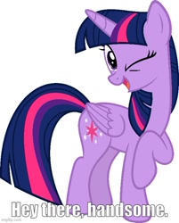 Size: 500x621 | Tagged: safe, artist:slb94, imported from derpibooru, twilight sparkle, alicorn, caption, flirting, image macro, imgflip, looking at you, one eye closed, talking to viewer, text, twilight sparkle (alicorn), wink, winking at you