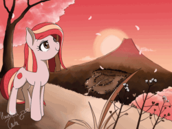 Size: 800x600 | Tagged: safe, artist:hauntedtuba, imported from derpibooru, oc, oc only, oc:poniko, earth pony, pony, animated, blinking, cherry blossoms, female, flower, flower blossom, flower petals, gif, japan, looking up, loop, mare, signature, smiling, solo, sunset, windswept mane