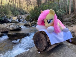 Size: 4032x3024 | Tagged: safe, artist:qtpony, imported from derpibooru, fluttershy, pony, clothes, forest, irl, lying down, nature, photo, plushie, prone, river, socks, solo, tree, water
