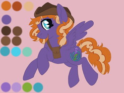 Size: 2000x1500 | Tagged: safe, artist:annuthecatgirl, imported from derpibooru, oc, oc only, pegasus, concept art, hat, reference sheet, satchel