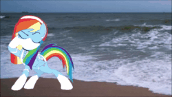 Size: 1920x1080 | Tagged: safe, imported from ponybooru, screencap, rainbow dash, buttercup, ninja, solo, vore