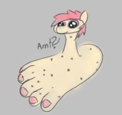 Size: 650x613 | Tagged: safe, ponerpics exclusive, insect, pony, ants, feet, female, numget, sketch, wat