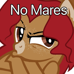 Size: 768x768 | Tagged: safe, artist:lordlyric, imported from derpibooru, oc, oc only, oc:maplelasso, earth pony, pony, country, female, mare, megamind, meme, no bitches?, simple background, solo, transparent background