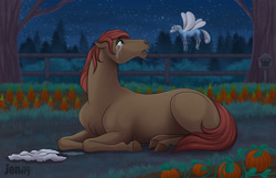 Size: 1280x822 | Tagged: safe, artist:jenery, oc, oc only, oc:cinder star, oc:nelly, earth pony, fairy, fairy pony, original species, pony, carrot, clothes, coat, crying, duo, female, food, fur coat, hoers, looking at each other, mare, night, prone, pumpkin