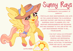 Size: 1280x886 | Tagged: safe, artist:carouselunique, imported from derpibooru, sunny rays, pegasus, pony, unicorn, alternate cutie mark, alternate design, alternate hairstyle, alternate universe, blue background, braid, character swap, colored hooves, female, fetlock tuft, hat, horn, mare, reference sheet, side stars au, simple background, smiling, solo, text, unshorn fetlocks