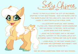 Size: 1280x887 | Tagged: safe, artist:carouselunique, imported from derpibooru, oc, oc:sky chime, pegasus, pony, alternate cutie mark, alternate design, alternate hairstyle, alternate universe, character swap, colored hooves, female, fetlock tuft, filly, foal, horn, reference sheet, side stars au, simple background, sky chime, smiling, solo, text, unshorn fetlocks