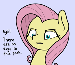 Size: 2048x1775 | Tagged: safe, artist:ewoudcponies, imported from derpibooru, fluttershy, pegasus, pony, bust, female, solo