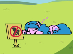 Size: 1800x1350 | Tagged: safe, artist:flutterluv, imported from derpibooru, izzy moonbow, pony, unicorn, cute, eyes closed, first world anarchist, fuck the police, g5, grass, horn, izzybetes, lying down, onomatopoeia, ponified animal photo, prone, pure unfiltered evil, sign, sleeping, smiling, solo, sound effects, zzz