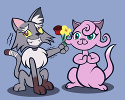 Size: 1280x1022 | Tagged: safe, artist:magerblutooth, imported from derpibooru, discord, fluttershy, cat, :3, bandage, bandaged tail, blue background, catified, cheek fluff, commission, discoshy, duo, ear fluff, female, flirting, flower, fluttercat, grin, implied transformation, looking away, male, neck fluff, nervous, nervous grin, rose, shipping, simple background, smiling, species swap, straight, trembling