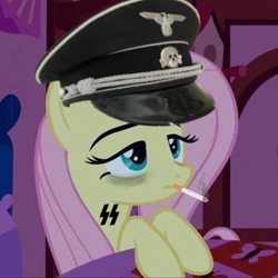 Size: 320x320 | Tagged: safe, imported from twibooru, fluttershy, pony, fascist, image, mlpol, nazi, png