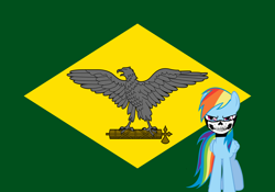 Size: 1600x1120 | Tagged: safe, imported from twibooru, rainbow dash, brazil, fascism, fascist, flag, image, nazi, png, siege mask