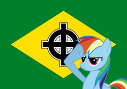 Size: 1600x1120 | Tagged: safe, imported from twibooru, rainbow dash, brazil, brony, celtic cross, fascism, fascist, flag, image, my little pony, nazi, png