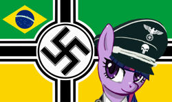 Size: 952x569 | Tagged: safe, imported from twibooru, brazil, flag, image, mlpol, nazi, png, skull, swastika