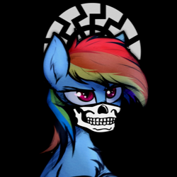 Size: 2048x2048 | Tagged: safe, imported from twibooru, rainbow dash, altbrony, black sun, image, nazi, nazipone, png, siege mask, sonnenrad