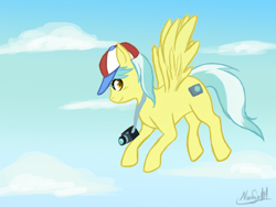Size: 1024x768 | Tagged: artist needed, safe, imported from derpibooru, tracy flash, pegasus, camera, cloud, flying, hat, signature, sky