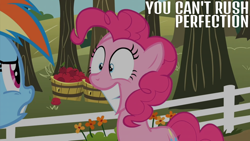 Size: 2000x1125 | Tagged: safe, edit, edited screencap, editor:quoterific, imported from derpibooru, screencap, pinkie pie, rainbow dash, the super speedy cider squeezy 6000, apple, apple tree, barrel, fence, food, tree