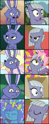 Size: 1104x2748 | Tagged: safe, edit, edited screencap, imported from derpibooru, screencap, limestone pie, earth pony, pony, rabbit, best gift ever, rock solid friendship, the maud couple, spoiler:g5, spoiler:my little pony: tell your tale, spoiler:tyts02e08, animal, bunnisi beauties, comparison, g5, my little pony: tell your tale, twitch (g5)