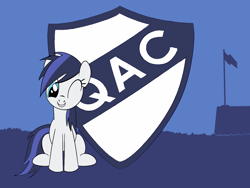 Size: 1024x768 | Tagged: safe, artist:jojodidu, imported from ponybooru, oc, oc only, oc:cervecera, earth pony, pony, argentina, emblem, female, flag, football, ponified, quilmes atlético club, solo, solo female, sports