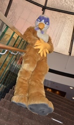 Size: 761x1280 | Tagged: safe, imported from derpibooru, gilda, fursuit, irl, photo, solo