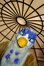 Size: 864x1280 | Tagged: safe, imported from derpibooru, gilda, griffon, bust, fursuit, irl, photo, portrait, solo