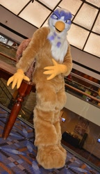 Size: 738x1280 | Tagged: safe, imported from derpibooru, gilda, griffon, fursuit, indoors, irl, photo, solo