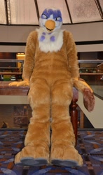 Size: 752x1280 | Tagged: safe, imported from derpibooru, gilda, griffon, fursuit, indoors, irl, photo