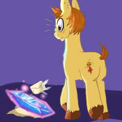 Size: 1000x1000 | Tagged: safe, artist:frostedminispooner, imported from derpibooru, oc, oc:nursery rhyme, earth pony, pony, ask nursery rhyme, butt, crystal, letter, male, plot, solo, stallion