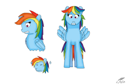 Size: 6000x4000 | Tagged: safe, artist:taylorliufilmsart, imported from derpibooru, rainbow dash, pegasus, female, simple background, solo, white background