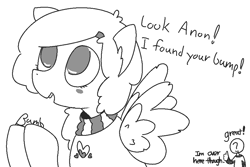 Size: 911x610 | Tagged: safe, artist:castafae, imported from derpibooru, oc, oc only, oc:anon, oc:autumnal potpourri, pegasus, pony, blind, blushing, bump, clothes, dialogue, female, floppy ears, hairclip, mare, monochrome, simple background, smiling, spread wings, sweater, white background, wings