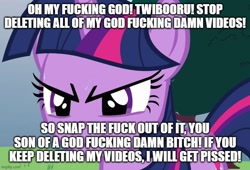 Size: 737x500 | Tagged: safe, imported from ponybooru, twilight sparkle, angry, meme, meme template, vulgar