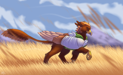 Size: 3480x2125 | Tagged: safe, artist:malinraf1615, imported from derpibooru, oc, oc:pavlos, griffon, bandage, beak, broken bone, broken wing, cast, cheek fluff, claws, clothes, colored wings, commission, eared griffon, eyes closed, g5, griffon oc, injured, male, non-pony oc, outdoors, sling, tail, windy, wings