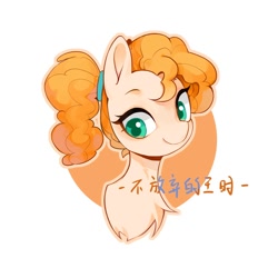 Size: 2000x2000 | Tagged: safe, artist:长海, imported from derpibooru, pear butter, earth pony, pony, bust, chinese, female, filly, foal, portrait, simple background, solo, text, white background, younger